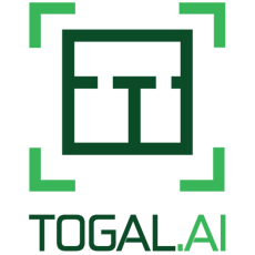 Togal.ai logo