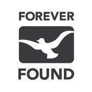 Forever Found Logo