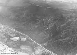 Black and white image showing Forest Park in the 1930s.