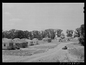 Black and white image of a rural dirt road; on the left there is a row of four houses that all look the same
