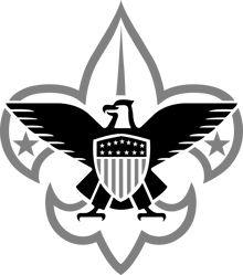 Boy_Scouts_logo